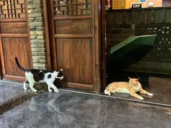 -竹吟山房