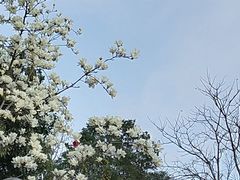 -尚贤河湿地