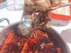 -蛙两只美蛙鱼头火锅(恒茂店)