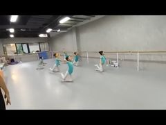 -舞蕾舞蹈(特长生校区)