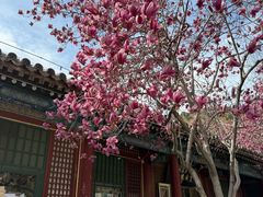 -潭柘寺景区