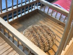 -南城十里潮汕鲜牛火锅·鲜虾生滚粥(融汇老商埠店)