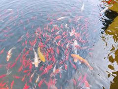 -蛇蟠岛