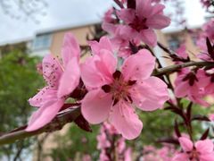 -北京和平里大酒店