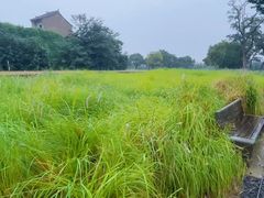 -汉长安城未央宫国家考古遗址公园