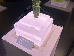 -温州博物馆