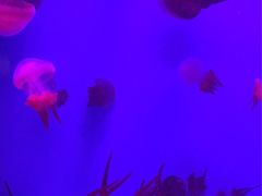 -常州海昌海洋探索馆