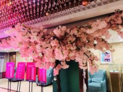 -重庆军美医疗美容医院