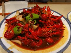 -杨氏青龙虾·羊蝎子(珠江路店)