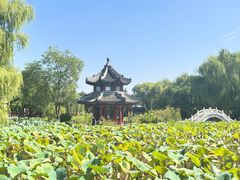 -莲池书院博物馆