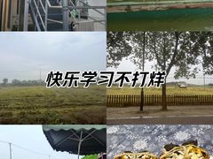 -小陆莲花蟹园农家乐(莲花岛店)