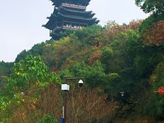 -杭州半山国家森林公园