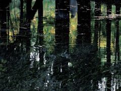 -杭州半山国家森林公园