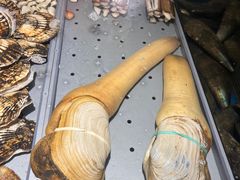 -侨美食家·40年地道粤菜(珠江新城店)