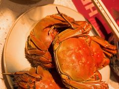 -金海湾自助餐厅(金陵饭店)