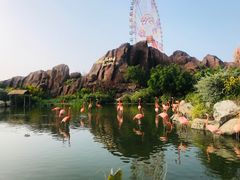 -芽庄珍珠岛游乐园