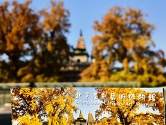 -北京石刻艺术博物馆(五塔寺)