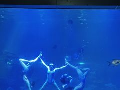 -福州罗源湾海洋世界旅游区