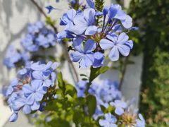 -万象影城(石家庄万象城IMAX激光店)