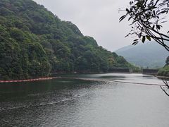 -广州市石门国家森林公园