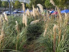 -盘龙城国家考古遗址公园