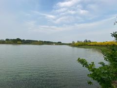 -东郊湿地公园