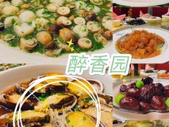 -醉香园(长江北路店)