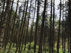 -石棉县孟获城