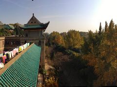 -武汉大学-樱园
