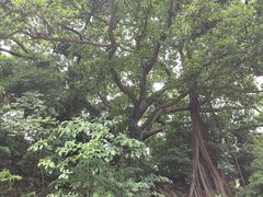 -黄埔军校旧址纪念馆