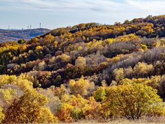 -塞罕坝国家级自然保护区