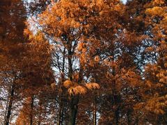 -贵阳市花溪国家城市湿地公园