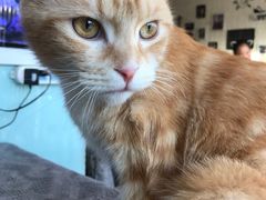 -平行世界·猫咖(首经贸店)