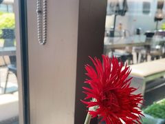 -The Diner X餐厅(青岛万象城店)