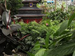 -南宫五洲植物乐园