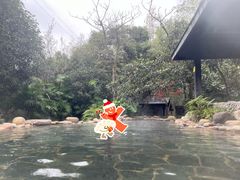 -融汇温泉