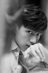 -渼树MSUTREE连锁沙龙