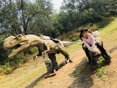 -北京张裕爱斐堡酒庄