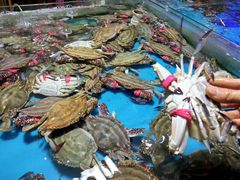 -蓝珊瑚蒸汽海鲜餐厅(龙奥店)