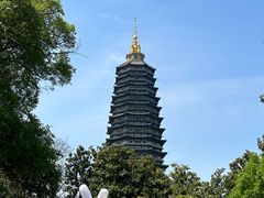 -红梅公园