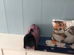 -纳吉亚猫专科动物诊疗中心(蒋宅口分院)