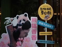 -轩客会(熊猫书店)