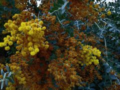 -广州市流溪河国家森林公园