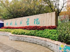 -黄桷坪涂鸦艺术街