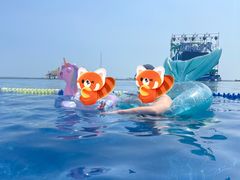 -碧海银沙景区