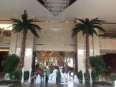 -常州环球恐龙城维景国际大酒店