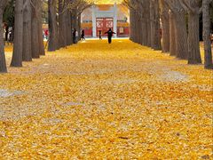 -康熙养生SPA·轻奢足道(江宁万达店)