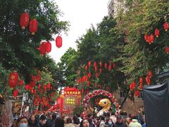 -越秀西湖花市(广州城市广场花卉店)