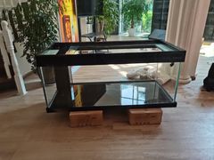 -青石桥花鸟鱼虫市场(叠翠城店)