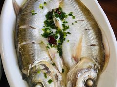 太湖白鱼-美味之家·湖景农家乐(太湖东山店)